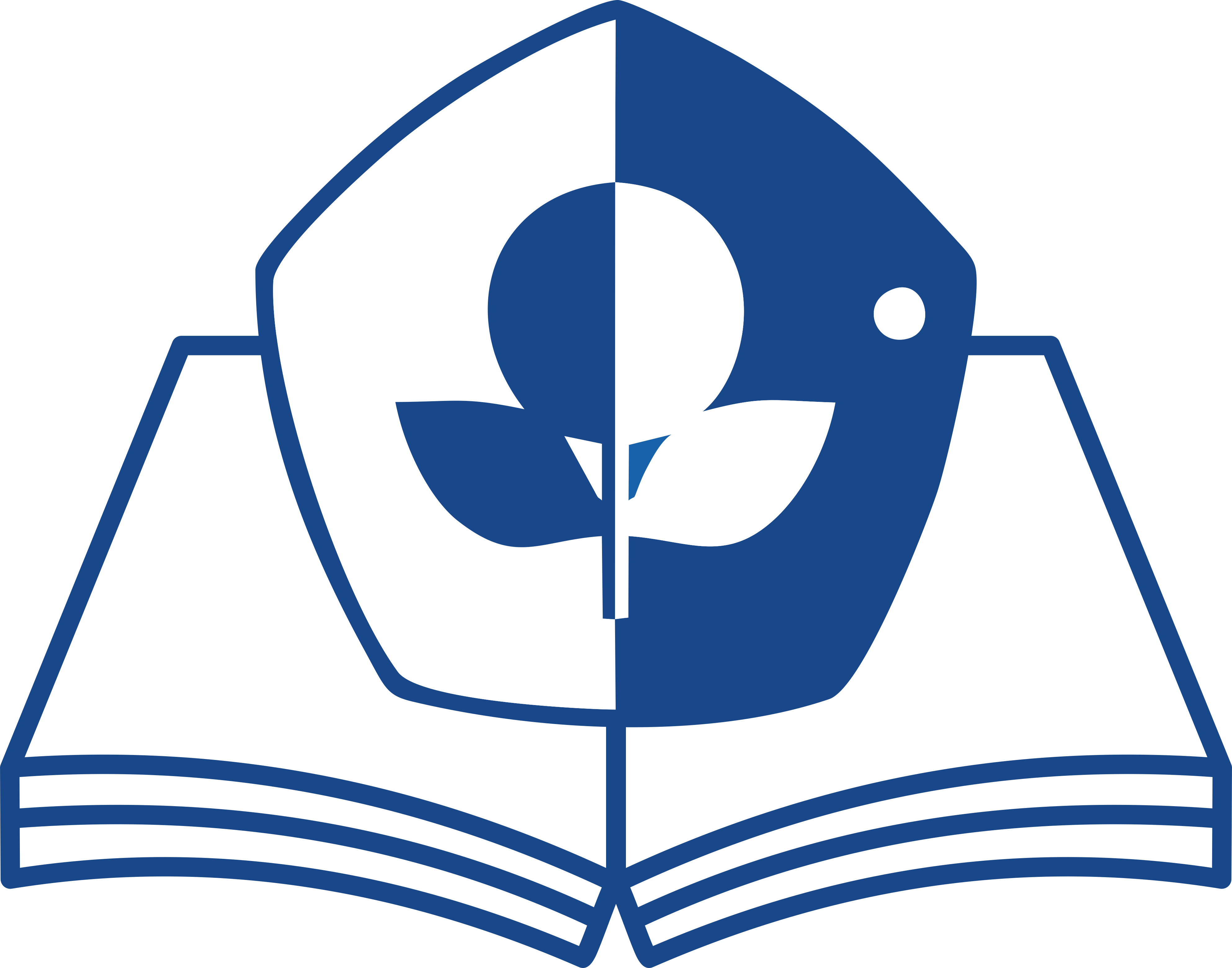 Logo YPK